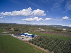 DJI_0942